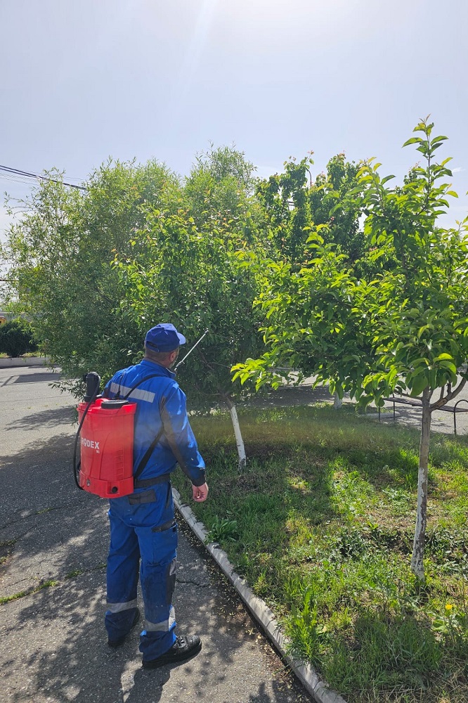 Մայիսի 3-ին ՀԿԵ աշխատակիցները դուրս եկան շաբաթօրյակի